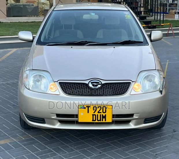 Toyota Corolla RunX 2001 Gold