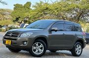 Toyota RAV4 2009 Brown for sale