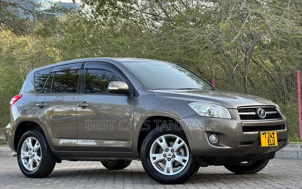 Toyota RAV4 2009 Brown