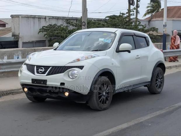 Nissan Juke SV Automatic 2011 White