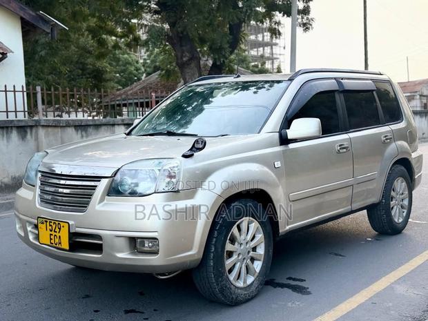 Nissan X-Trail 2.0 2006 Silver