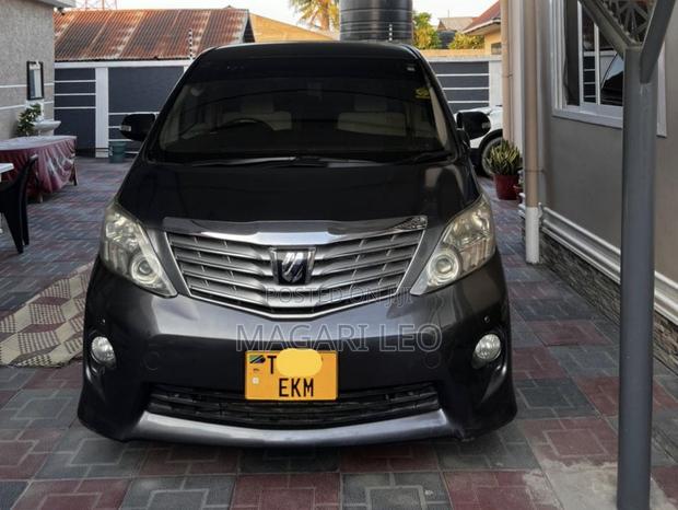 Toyota Alphard 2010 Gray