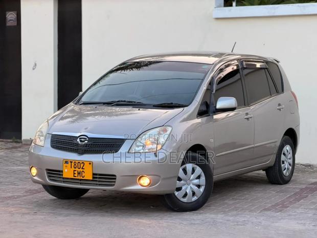 Toyota Corolla Spacio 2003 Gray