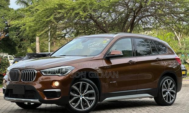 BMW X1 2015 Red