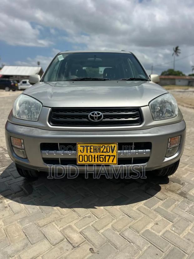 Toyota RAV4 2001 Silver