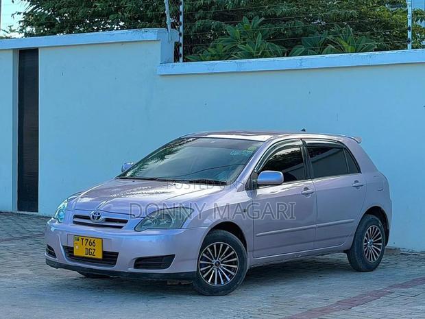 Toyota Allex 2004 Silver