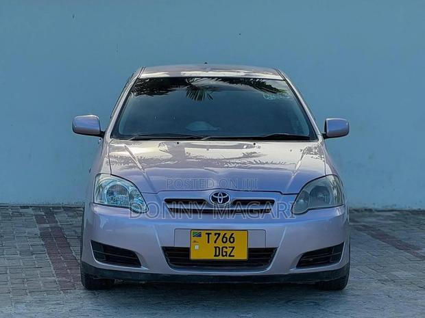 Toyota Allex 2004 Silver