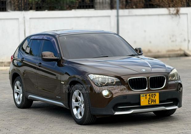 BMW X1 2011 Brown