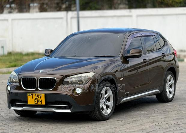 BMW X1 2011 Brown