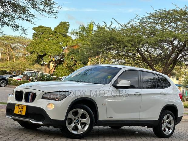 BMW X1 2011 Pearl