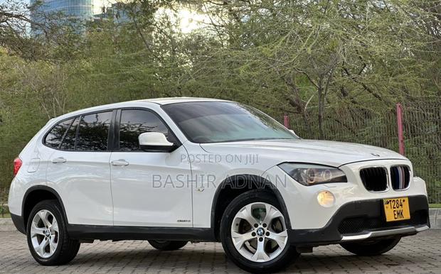 BMW X1 2011 Pearl