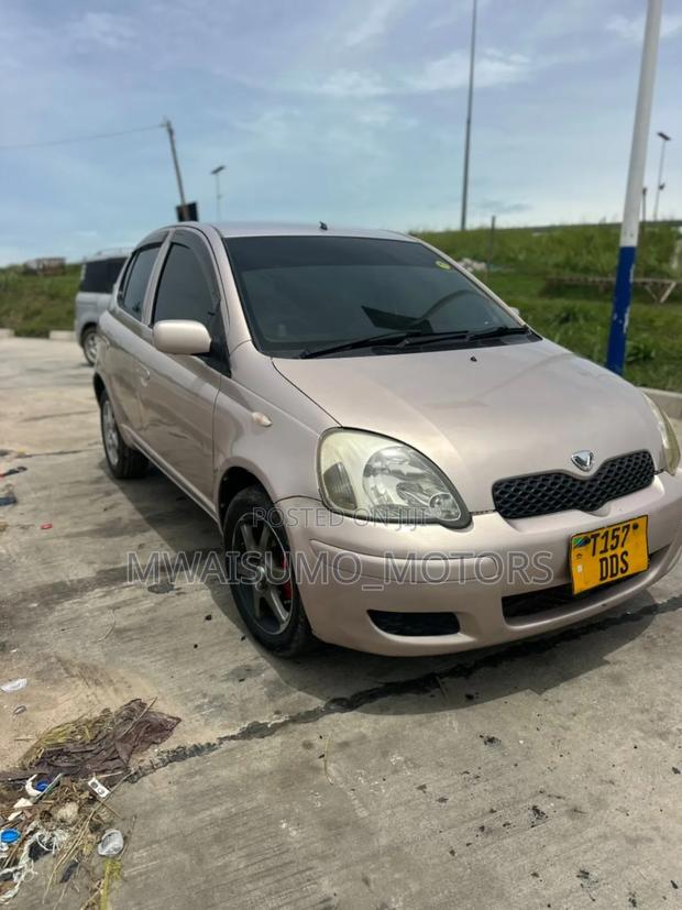 Toyota Vitz 2002 Pink