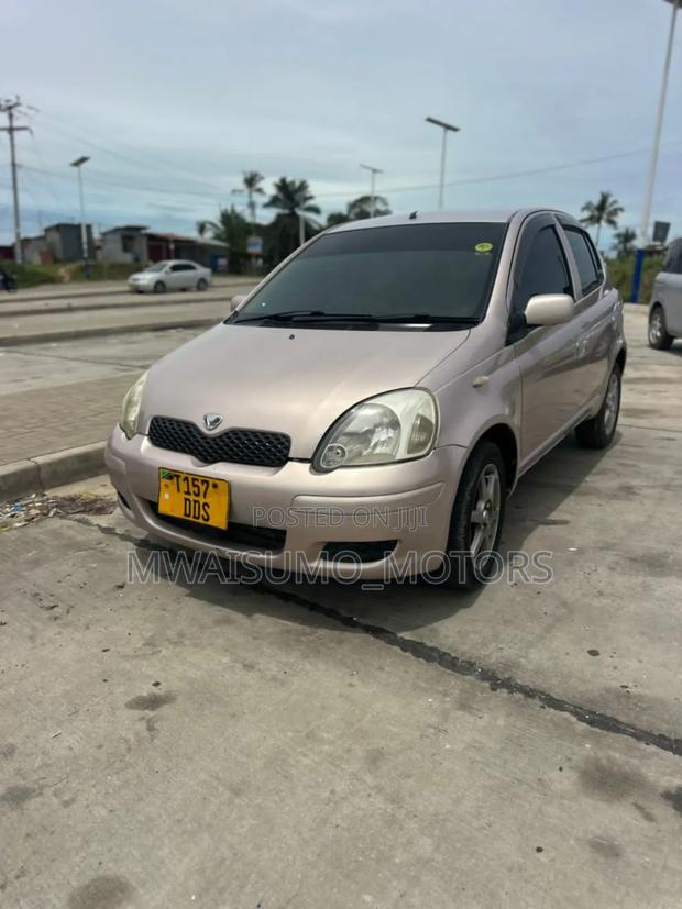 Toyota Vitz 2002 Pink