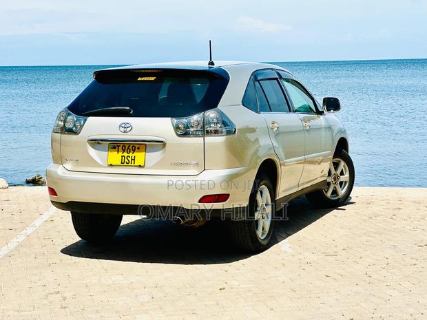 Toyota Harrier 2004 Gold