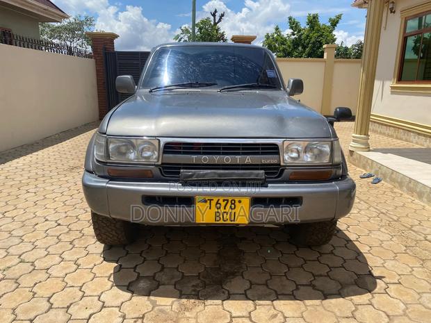 Toyota Land Cruiser 1996 Gray