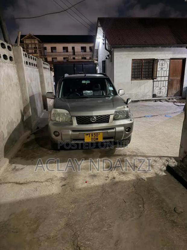 Nissan X-Trail 2.0 2007 Silver
