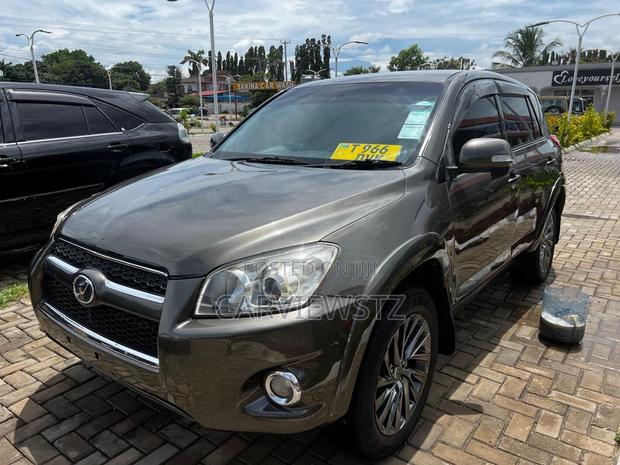 Toyota RAV4 Limited 2009 Gray