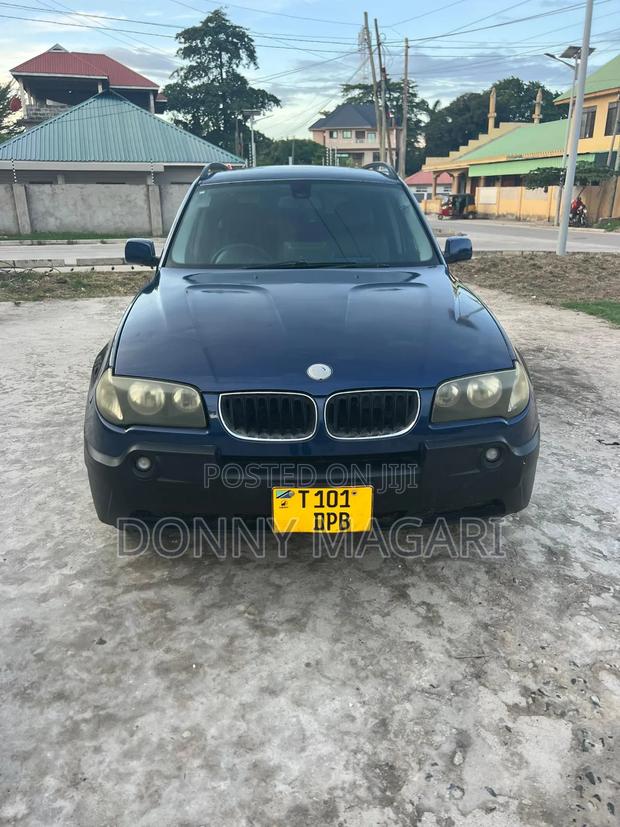 BMW X3 2.0d 2006 Blue