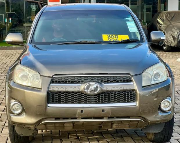 Toyota RAV4 2009 Gray