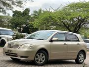 Toyota Allex 2004 Gold for sale