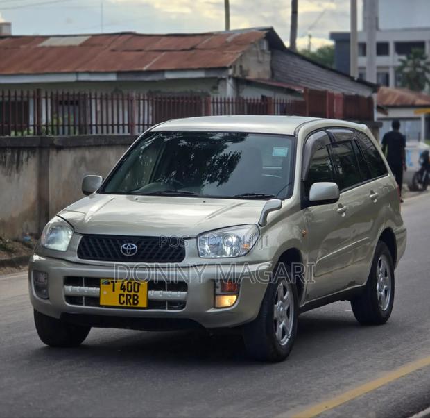 Toyota RAV4 2004 Gold