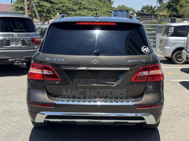 Mercedes-Benz M Class 2015 Brown
