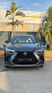 Lexus NX 2024 Gray for sale