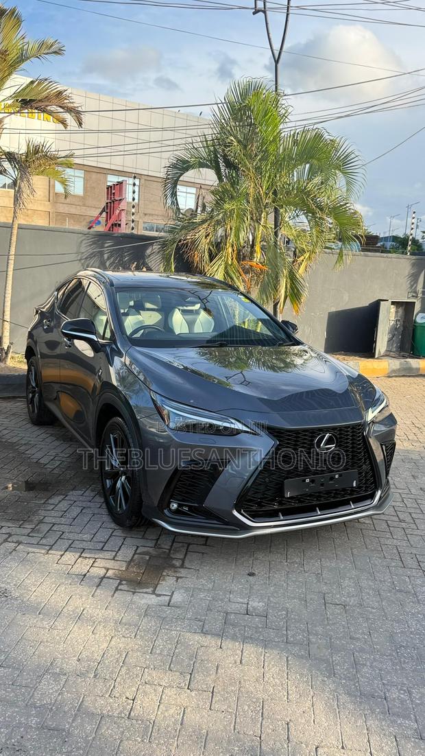 Lexus NX 2024 Gray