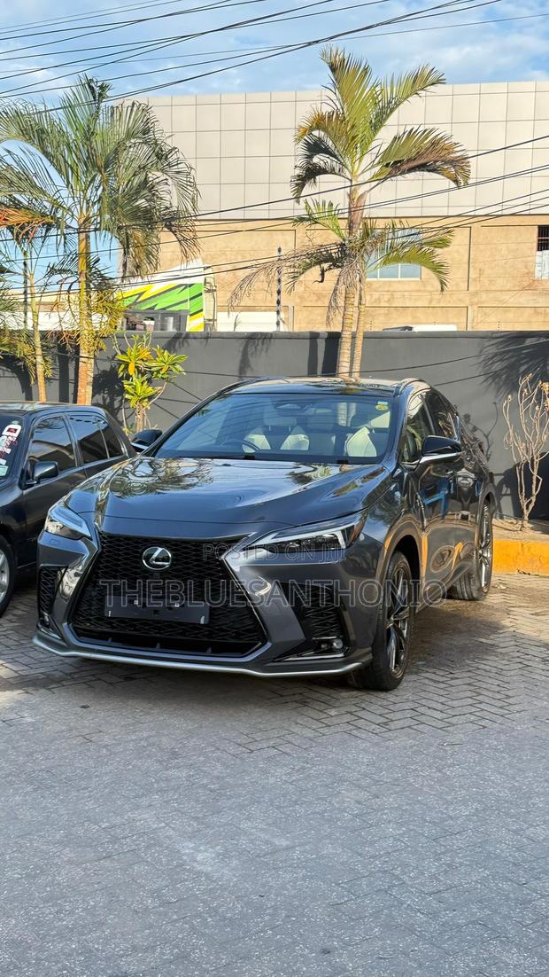 Lexus NX 2024 Gray