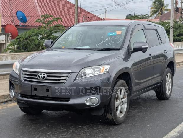 Toyota Vanguard 2009 Gray