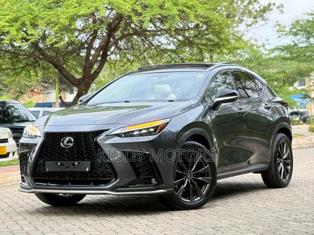 Lexus NX 2024 Gray