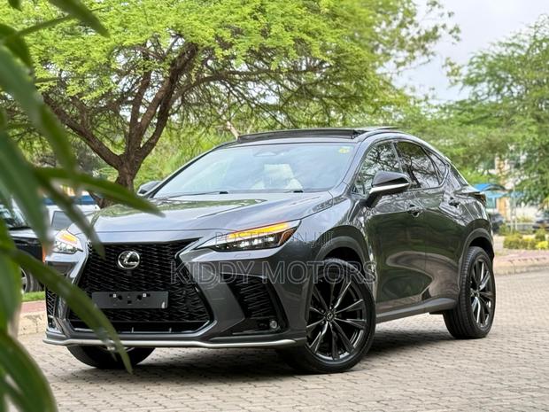 Lexus NX 2024 Gray