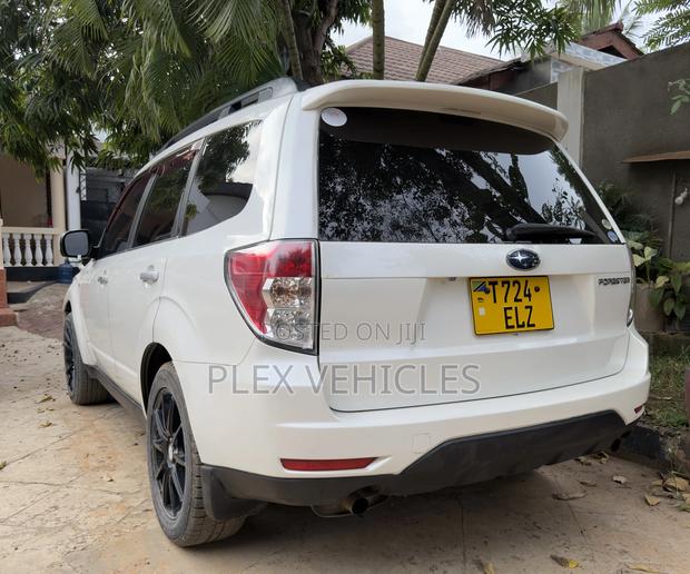 Subaru Forester 2009 Pearl