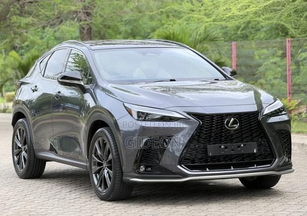Lexus NX 2024 Gray