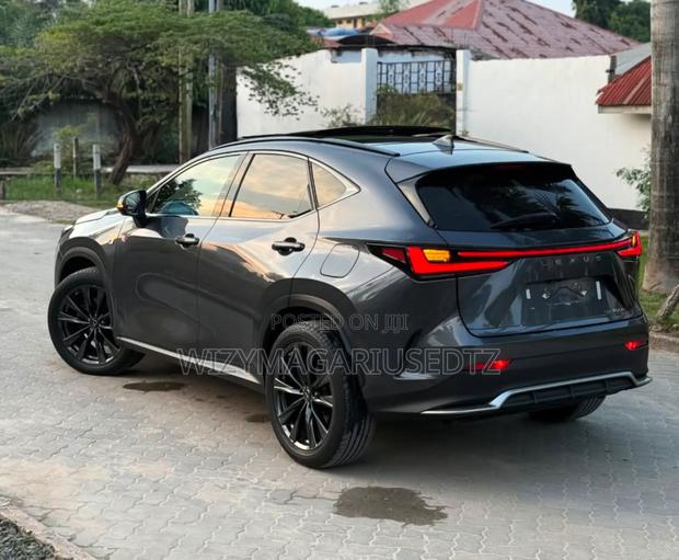 Lexus NX 350 F SPORT Handling AWD 2024 Teal