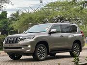 Toyota Land Cruiser Prado 2023 Gray for sale