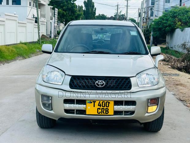 Toyota RAV4 Automatic 2003 Gold