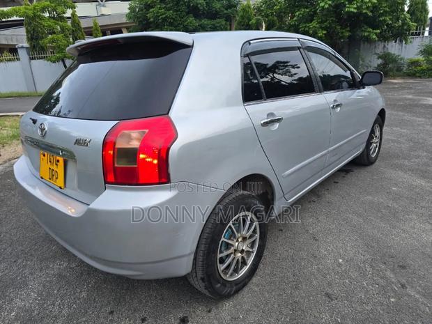 Toyota Allex 2003 Silver