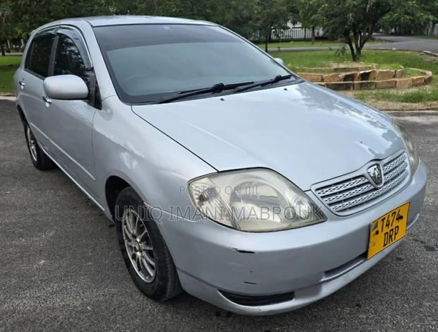 Toyota Allex 2003 Silver