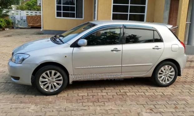 Toyota Allex 2003 Silver