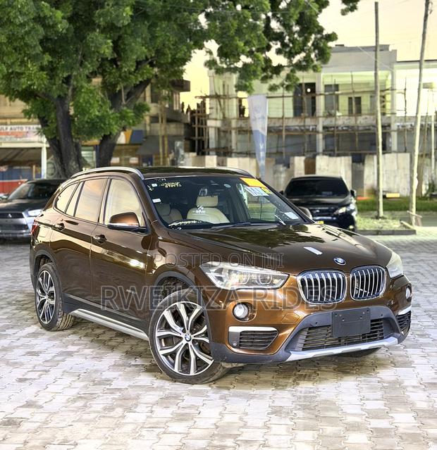 BMW X1 2017 Brown