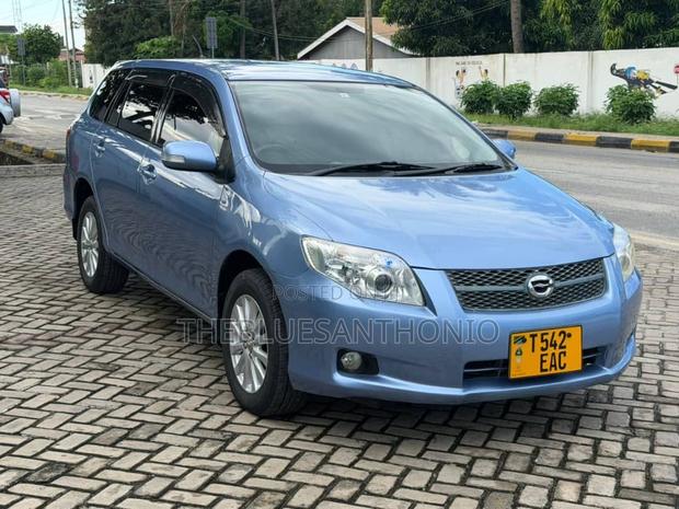 Toyota Corolla Fielder 2007 Blue