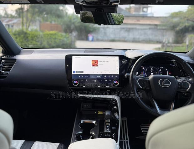 Lexus NX 2024 Gray