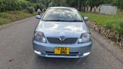 Toyota Allex 2004 Green for sale