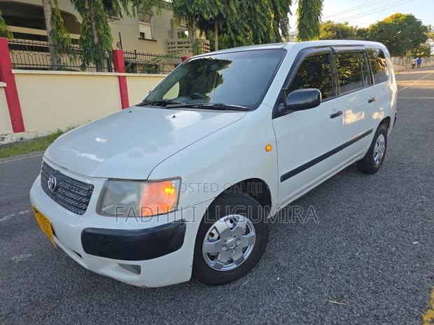 Toyota Succeed 2004 Pearl