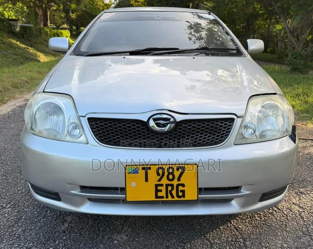 Toyota Corolla RunX 2007 Silver