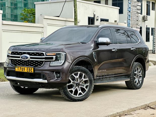 Ford Everest 2024 Gray
