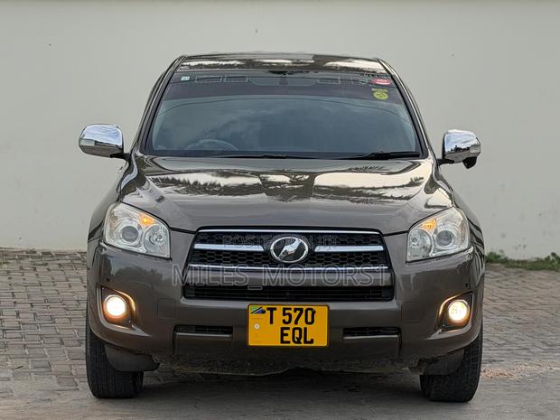 Toyota RAV4 2009 Brown