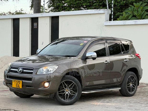 Toyota RAV4 2009 Brown