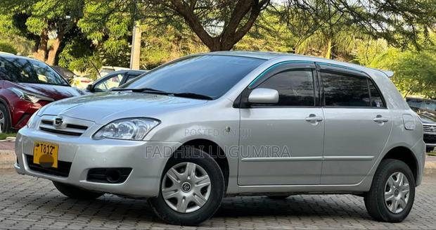 Toyota Corolla RunX 2005 Silver